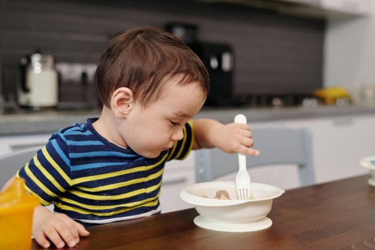 lunch for toddlers