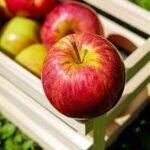 healthy picks