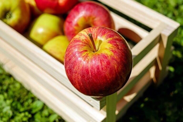 healthy picks