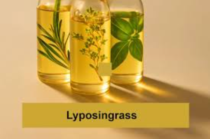 Lyposingrass